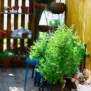 매직스튜디오 이미지