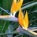 송강테마파크 이미지