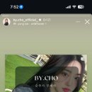 붙임머리,바이초
