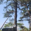 남산웰빙 이미지