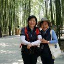 울산여자고등학교 이미지