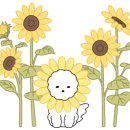 원더키즈풀빌라 이미지