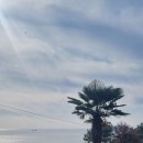 여울애견 이미지