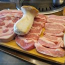 서해쭈꾸미 이미지