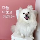 바르다펫 대전점 이미지