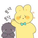 클로버 동물병원 이미지