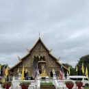 황금궁전주유소 | 치앙마이 트립 바이브 ON #2 왓프라싱/치앙마이3대카페/올드타운맛집