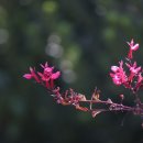 강진민박 이미지