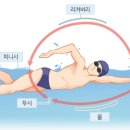 수영 카카오 검색결과