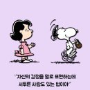 탑스뷰티 이미지