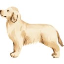 느티나무하우스 이미지