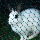 구룡2리 이미지