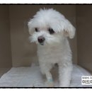 미드미동물의료센터 이미지