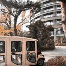 파라스파라 서울 | 안토 파라스파라 서울 리조트 프리미어 팀버스위트 후기