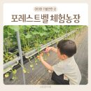 만영농장 | 용인 동물체험 딸기체험농장 포레스트벨 5살 방문 후기