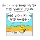 요미분식 이미지