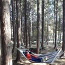 흑염소목장 이미지