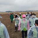 230312 새만금 수라개벌 들기- 울산불교환경연대 그리고 올해 저어새의 첫 만남 이미지