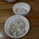 공덕 맛집 봉평옹심이칼국수 후기 | 쫀득한 옹심이와 메밀향 가득한 막국수들