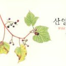 도토리기획 이미지