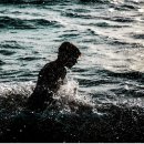 편백 힐링 안마원 이미지