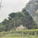 성불산자연휴양림 충북 괴산 캠핑장 숲속야영장