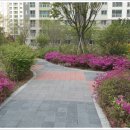 송도플러스 공인중개사사무소 이미지