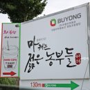 티지팜 이미지