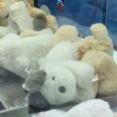 대빵오락실(칠곡점) 이미지