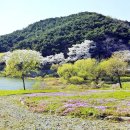 봄 - 성남시 수정구 수정남로 57 | 봄