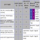 주짓수 시합 룰 규정 안내자료~^^ 이미지