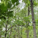 곰치농장 이미지