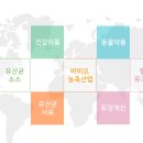 주식회사 운석 이미지