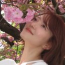 이세영 헤어샵
