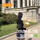 종로-신영-종로-영-203 | 2025년 4-5월 좋은 일 가득했던 일상 모음.zip 🌸