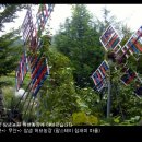 참샘 농장 Daum카페