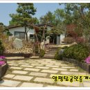 [양평]고즈넉한 소나무 향기와 아름다운 정원의 전원주택 이미지