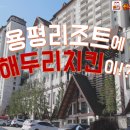 해두리치킨 - 안산시 상록구 석호로 219 | 해두리치킨