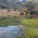 하만제 Daum카페