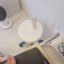 인셀덤&보타랩 대전서구브랜치