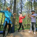 치유의 숲 이미지