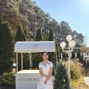 키친벨리니결혼정보 | 대전 마마키친 돌잔치 후기 / 돌잔치 준비 내역 싹 다...돌잔치에 진심인 돌끝맘😍 / 돌잔치 업체정보 공유