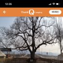 피플앤독 이미지