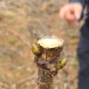 유등농장 이미지