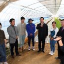 동정농장 이미지