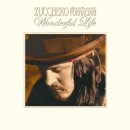 Zucchero - Wonderful Life 이미지