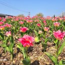 낙동강관리본부 화명생태공원 12 이미지