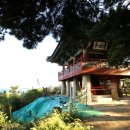 송기환 | 관동팔경 수일경 청간정