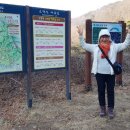 소백산자락길 제6코스 Daum카페