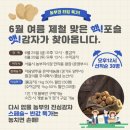원경농원 이미지